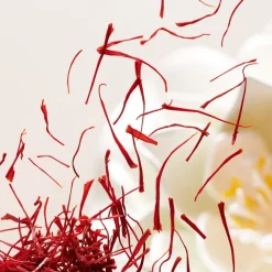 RITUALS The Ritual Of Namaste Anti-Ageing Eye Concentrate von