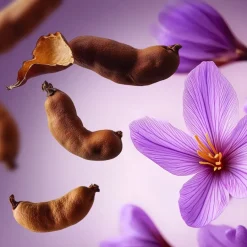 RITUALS The Ritual Of Namaste SPF 50 Daily Advanced Moisturiser von