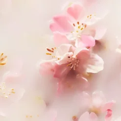 RITUALS The Ritual Of Sakura Fragrance Sticks von