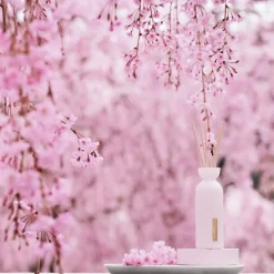 RITUALS The Ritual Of Sakura Fragrance Sticks von