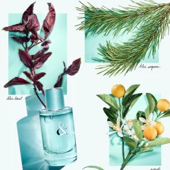 Tiffany u0026 Co. Tiffany & Love For Her Eau de Parfum Spray von Tiffany & Co. Outlet