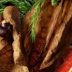 Molton Brown Tobacco Absolute Bath & Shower Gel von Best