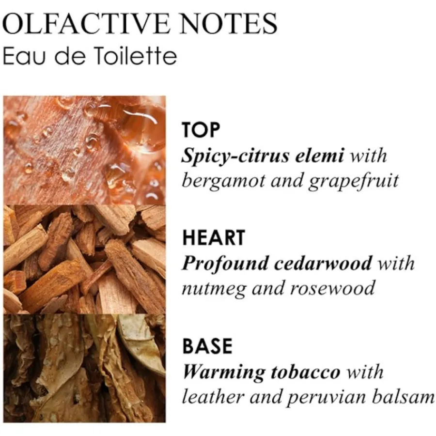 Molton Brown Tobacco Absolute Eau de Toilette Spray von Online