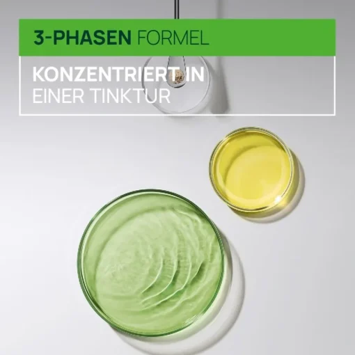Renu00E9 Furterer Triphasic Kur bei progressivem Haarausfall von René Furterer