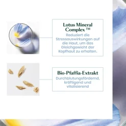 Renu00E9 Furterer Triphasic Reactional Kur bei temporärem Haarausfall von René Furterer