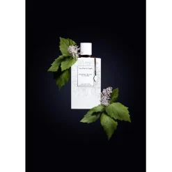 Van Cleef u0026 Arpels Van Cleef & Arpels Collection Extraordinaire Patchouli Blanc Eau de Parfum Spray Best
