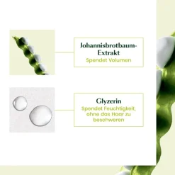 Renu00E9 Furterer Volumea Pflege-Schaum von René Furterer