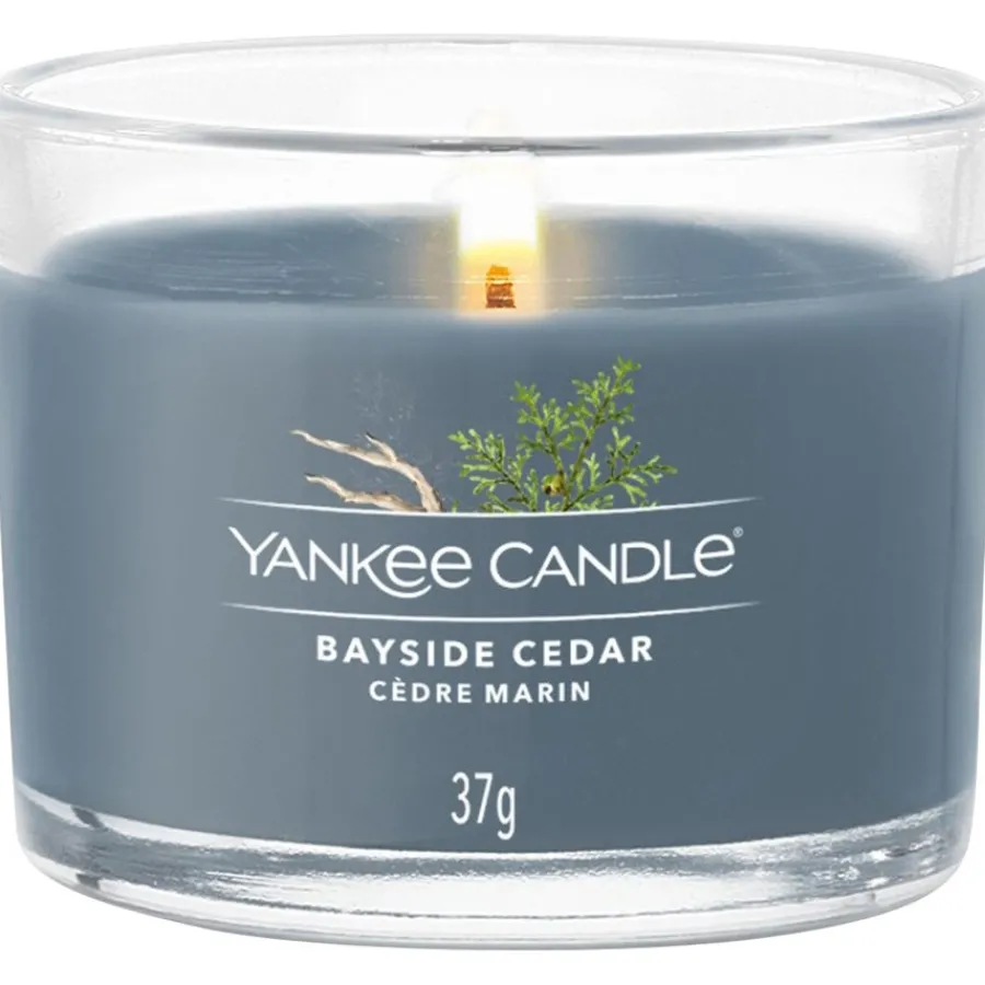 Yankee Candle Votivkerze im Glas Bayside Cedar von Online