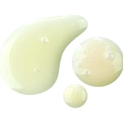 Annayake Wakame Nourishing Serum von