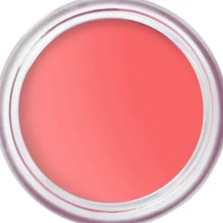 Bobbi Brown Wangen Pot Rouge Velvet Matte von