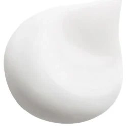 HAIR RITUEL by Sisley Waschen & Entwirren Revitalizing Smoothing Shampoo with Macadamia oil von