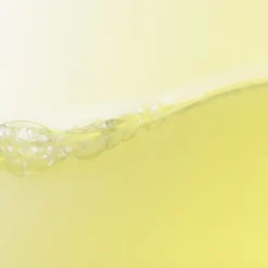 Shiseido WASO Yuzu-C Glow-On Shot von New