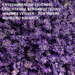 Weleda Aroma Shower Relax