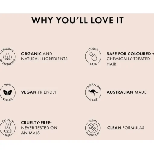 BondiBoost Öl & Serum Frizz Fix Serum von