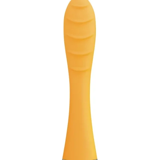 Foreo Zahnbürstenköpfe Issa Mini Hybrid Brush Head von