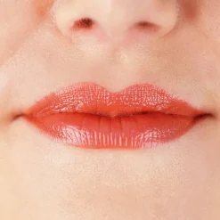 Zao Bamboo Matte Lipstick Best